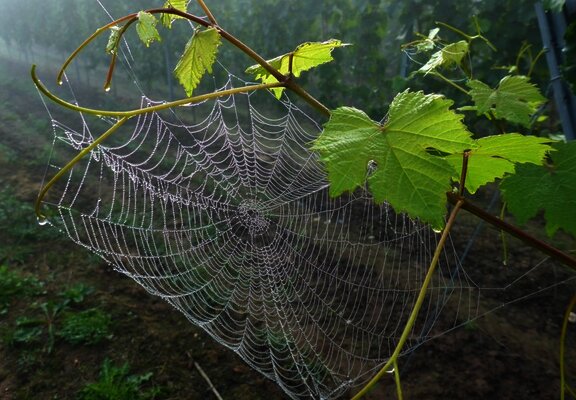 Eindrücke am Morgen
