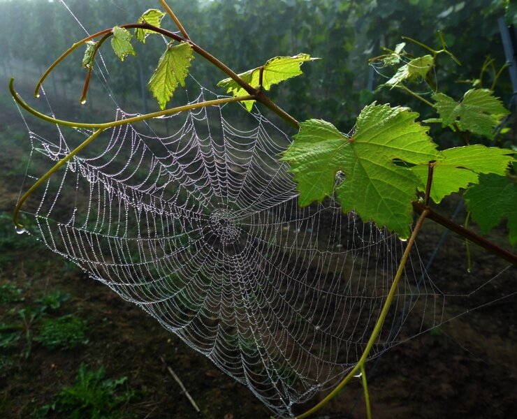 Eindrücke am Morgen