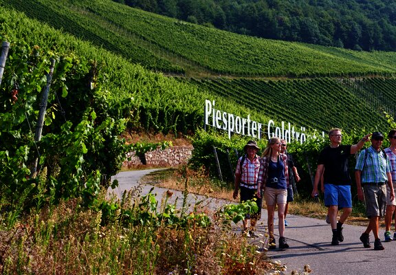 Wandergruppe Piesport