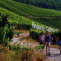 Wandergruppe Piesport