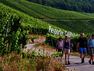 Wandergruppe Piesport