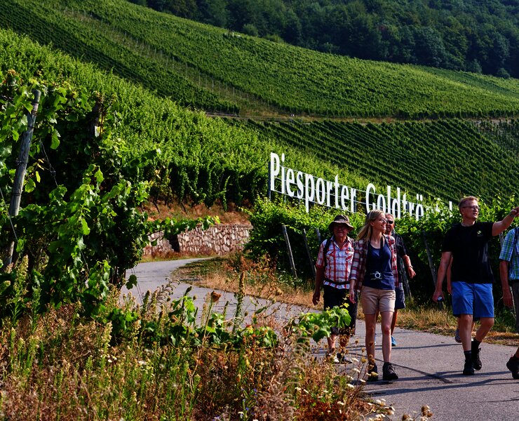 Wandergruppe Piesport