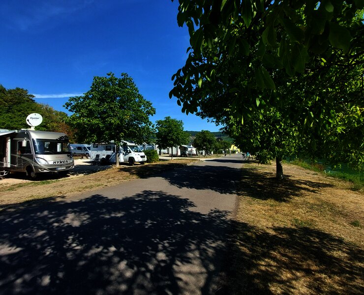 Piesport_WoMoStellplatz