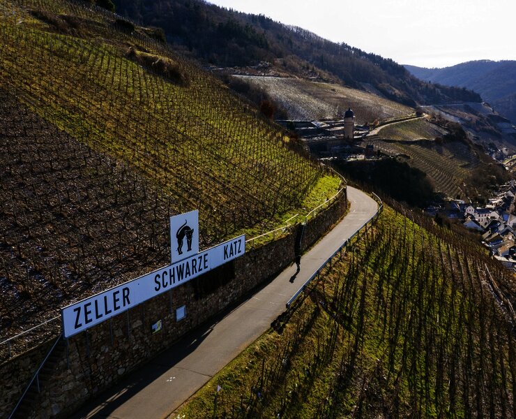 Blick auf die Weinberge bei Zell