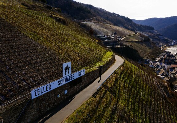 Blick auf die Weinberge bei Zell