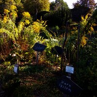 Kräutergarten Klausen