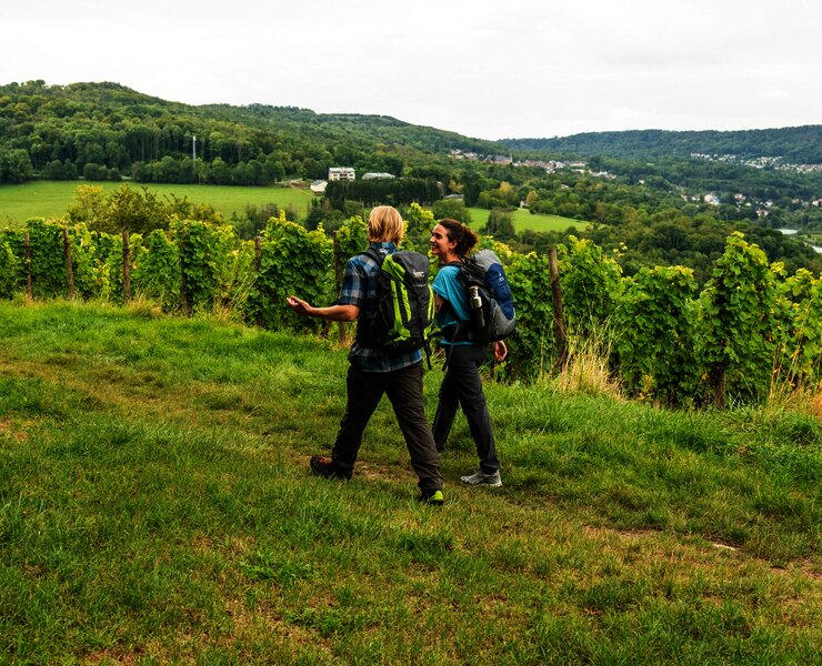 Wandern auf dem Moselsteig bei Perl