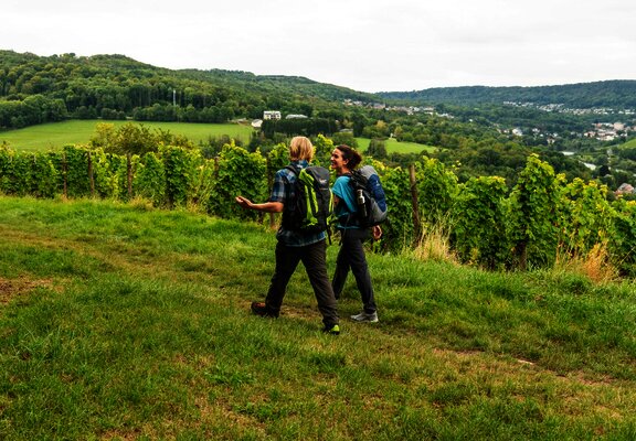 Wandern auf dem Moselsteig bei Perl