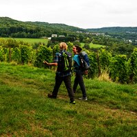 Wandern auf dem Moselsteig bei Perl