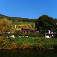 Kelteranlage in Piesport