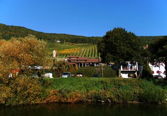 Kelteranlage in Piesport