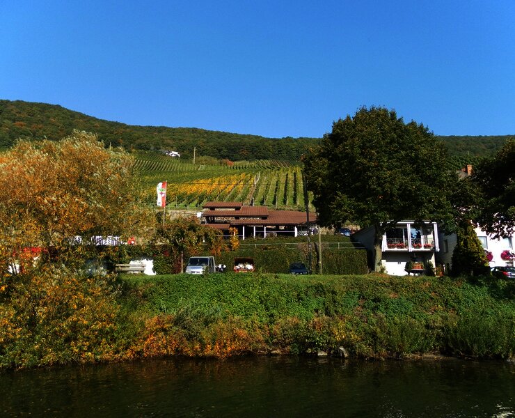 Kelteranlage in Piesport