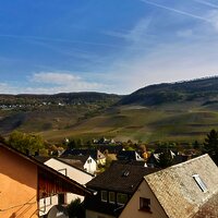 Aussicht auf das Moseltal