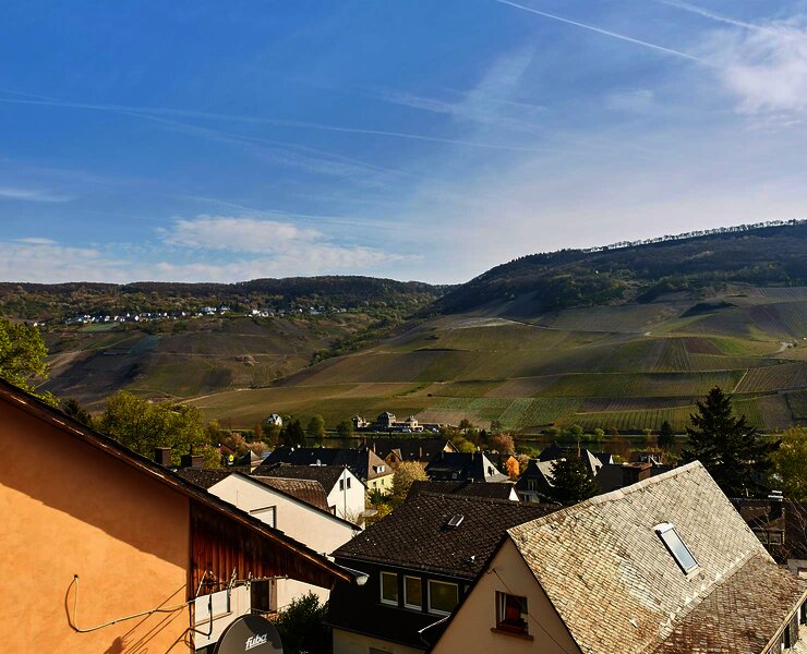 Aussicht auf das Moseltal