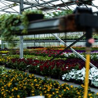 NewMediaLabs2025 (6)