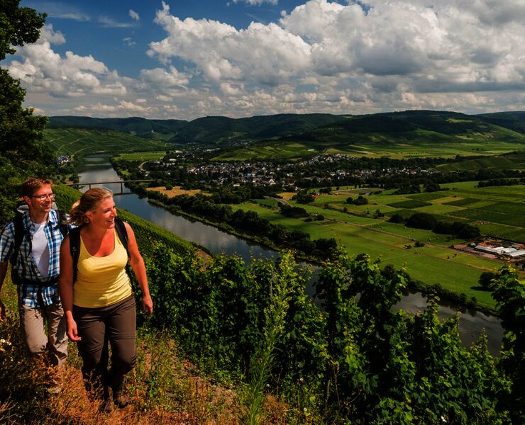 Moselsteig an der Mittelmosel