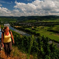 Moselsteig an der Mittelmosel
