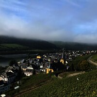 Nebel über Zeltingen