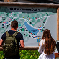 Das Bild zeigt eine Frau und einen Mann, die vor dem Übersichtsplan des Tierparks Rheinböllen stehen.