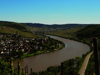 Weinort Neumagen-Dhron