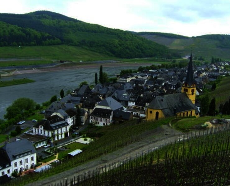 Zeltingen an der Mosel.