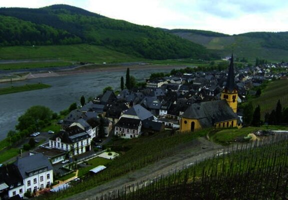 Zeltingen an der Mosel.