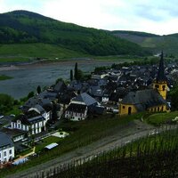 Zeltingen an der Mosel.