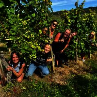 glückliche Menschen im Weinberg