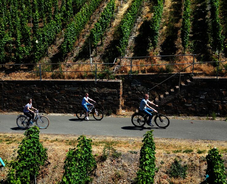 Radfahren im Weinberg