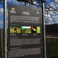 Informationstafel zum Weinbau