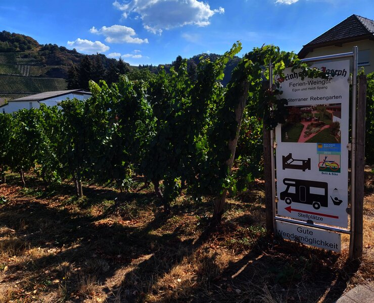 Piesport_WoMoStellplatz_Weingut_St_Joseph