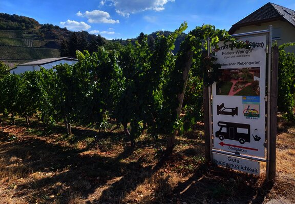 Piesport_WoMoStellplatz_Weingut_St_Joseph