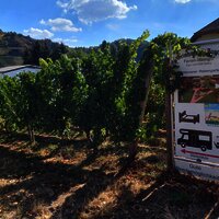 Piesport_WoMoStellplatz_Weingut_St_Joseph