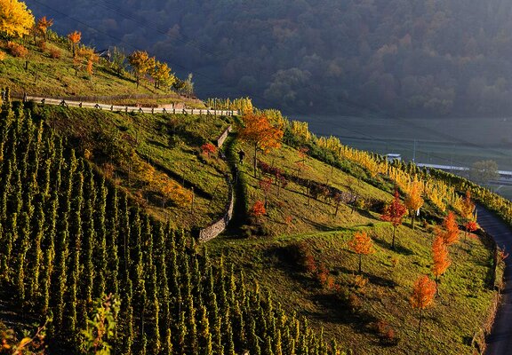 Sortengarten im Herbst