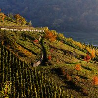 Sortengarten im Herbst