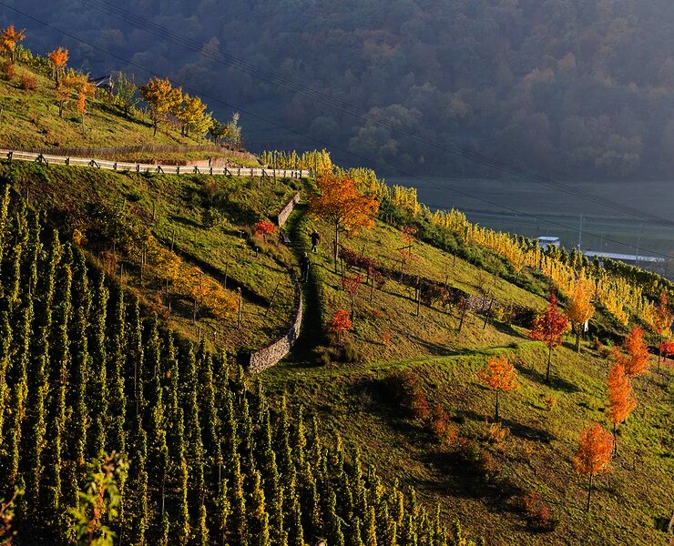 Sortengarten im Herbst