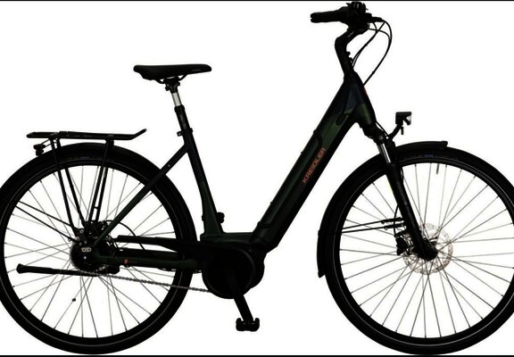 E-Bike Tiefeinsteiger