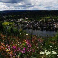 Radfahren inmitten der Weinberge mit Blick auf die Mosel