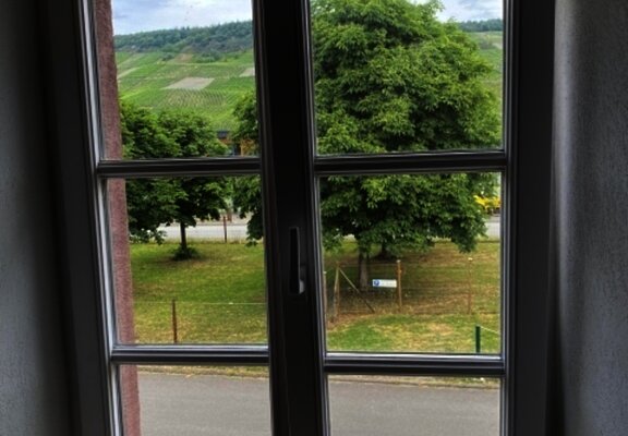Aussicht ins Grüne