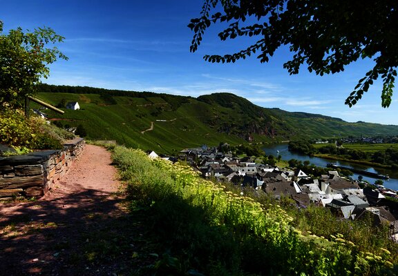 Gewürzgarten in Ürzig