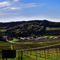 Einstieg Moselsteig Dreiländerblick: Blick Richtung Schengen (Luxemburg, links) und Apach (Frankreich, rechts)