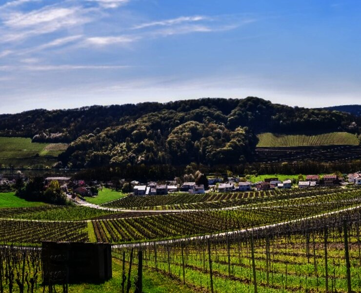 Einstieg Moselsteig Dreiländerblick: Blick Richtung Schengen (Luxemburg, links) und Apach (Frankreich, rechts)