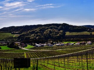 Einstieg Moselsteig Dreiländerblick: Blick Richtung Schengen (Luxemburg, links) und Apach (Frankreich, rechts)