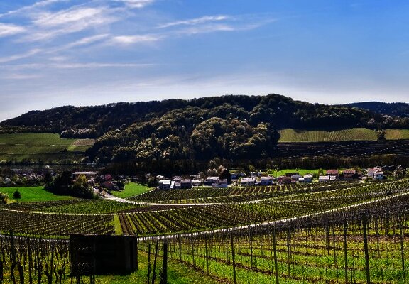 Einstieg Moselsteig Dreiländerblick: Blick Richtung Schengen (Luxemburg, links) und Apach (Frankreich, rechts)