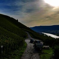 Weinberge