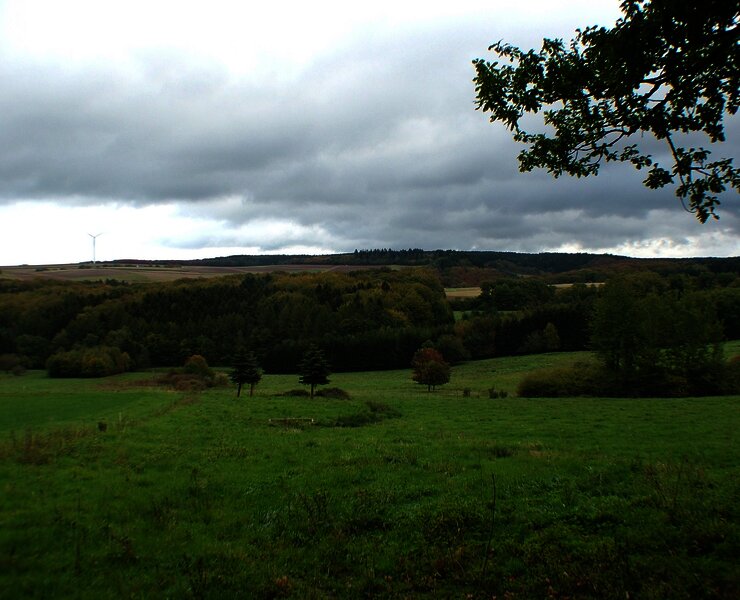 Felderlandschaft im Hunsrück bei Kommen