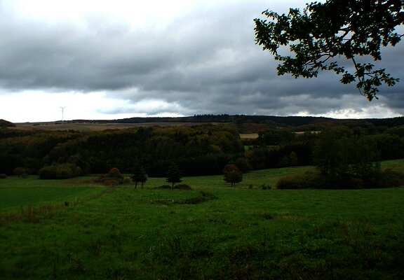 Felderlandschaft im Hunsrück bei Kommen