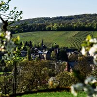 Moselsteig Perl mit Blick auf Schengen