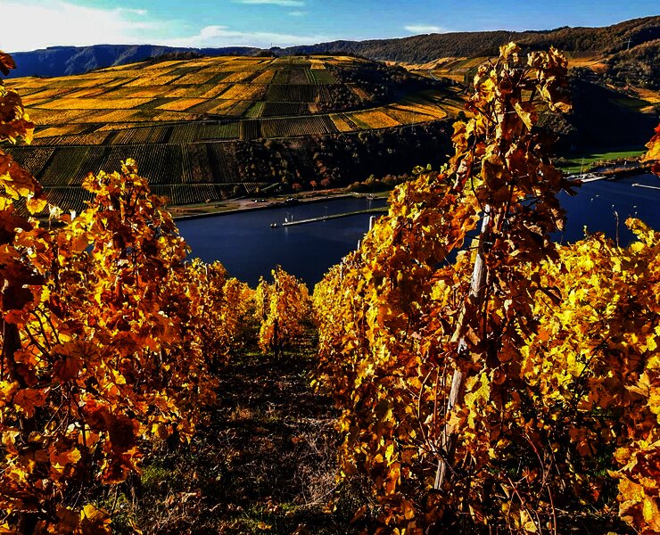 20201101_144604000_iOS