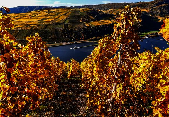 20201101_144604000_iOS